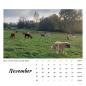 Preview: Der Webertal-Dogs-Kalender für 2026 (November)