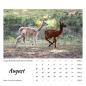 Preview: Der Webertal-Alpakas-Kalender für 2026 (August)
