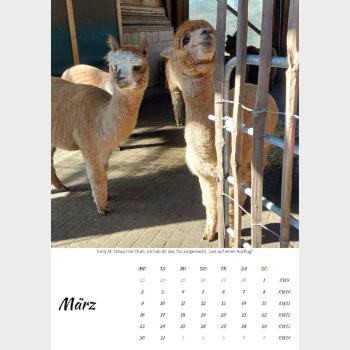 Preview: Der Webertal-Alpakas-Kalender für 2026 in A4 (März)