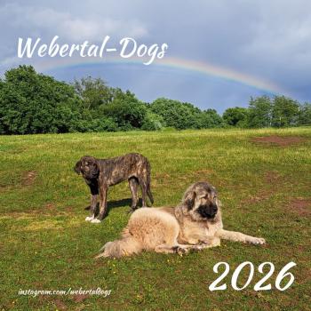Der Webertal-Dogs-Kalender für 2026 (Titelbild)