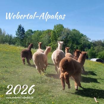 Der Webertal-Alpakas-Kalender für 2026 (Titelbild)