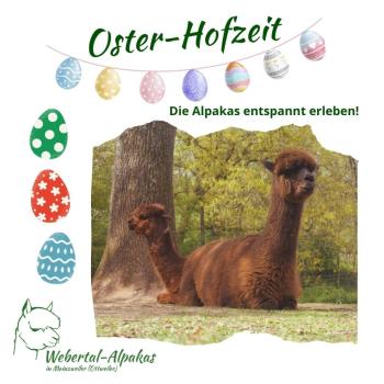 Oster-Hofzeit