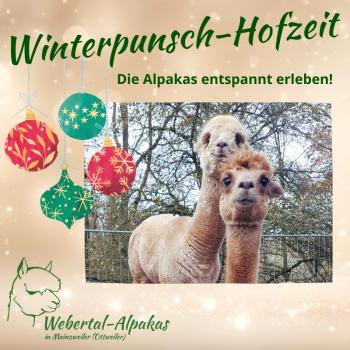 Winterpunsch-Hofzeit